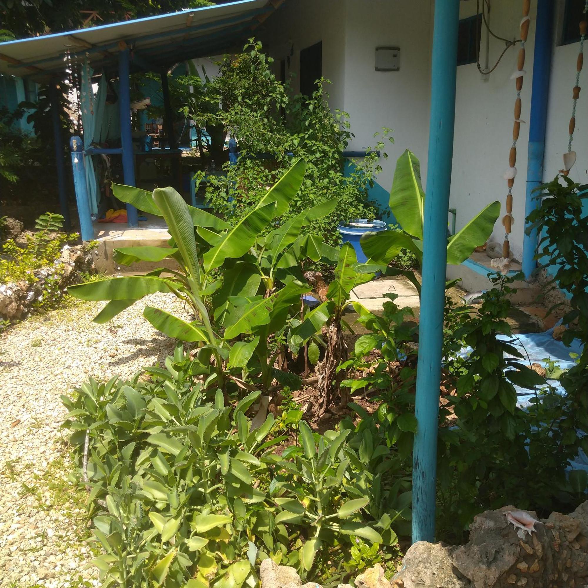 Furaha B&B Kendwa Rum bild